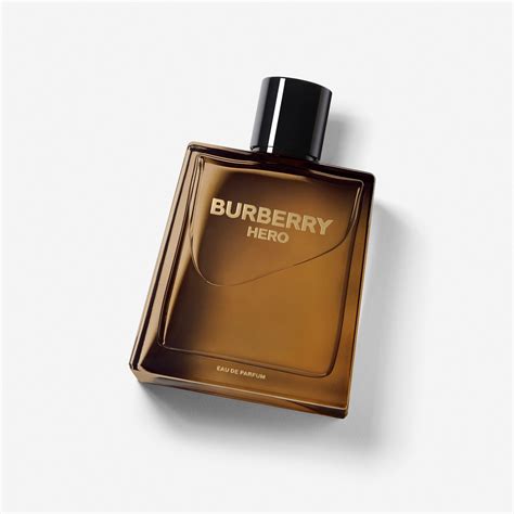 burberry summer profumo uomo|hero by Burberry cologne.